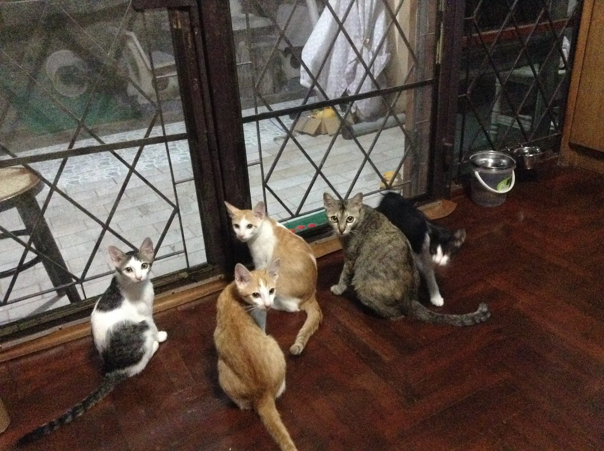 Gift's family at the window