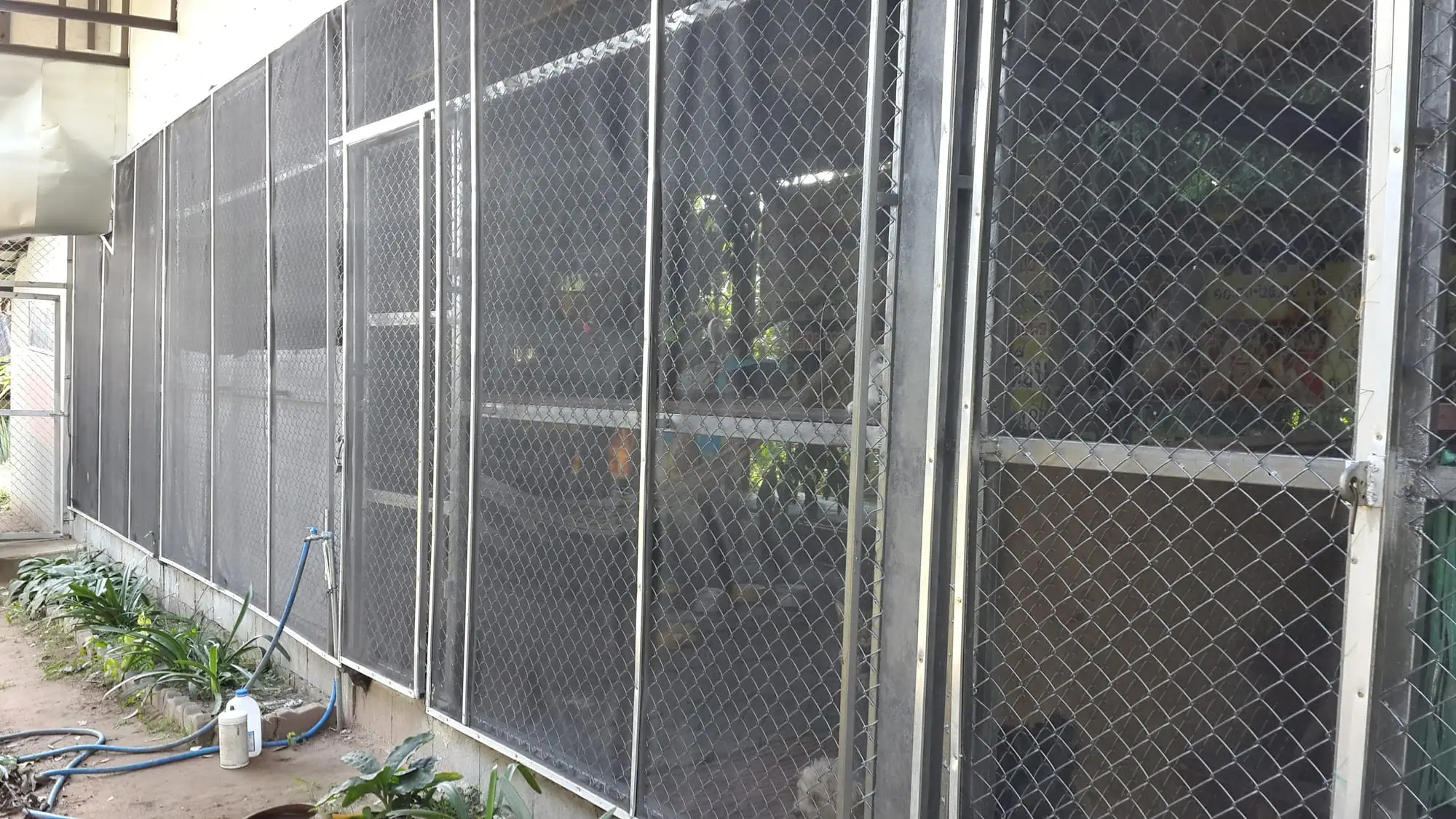 The wire-mesh wall of the new kennel