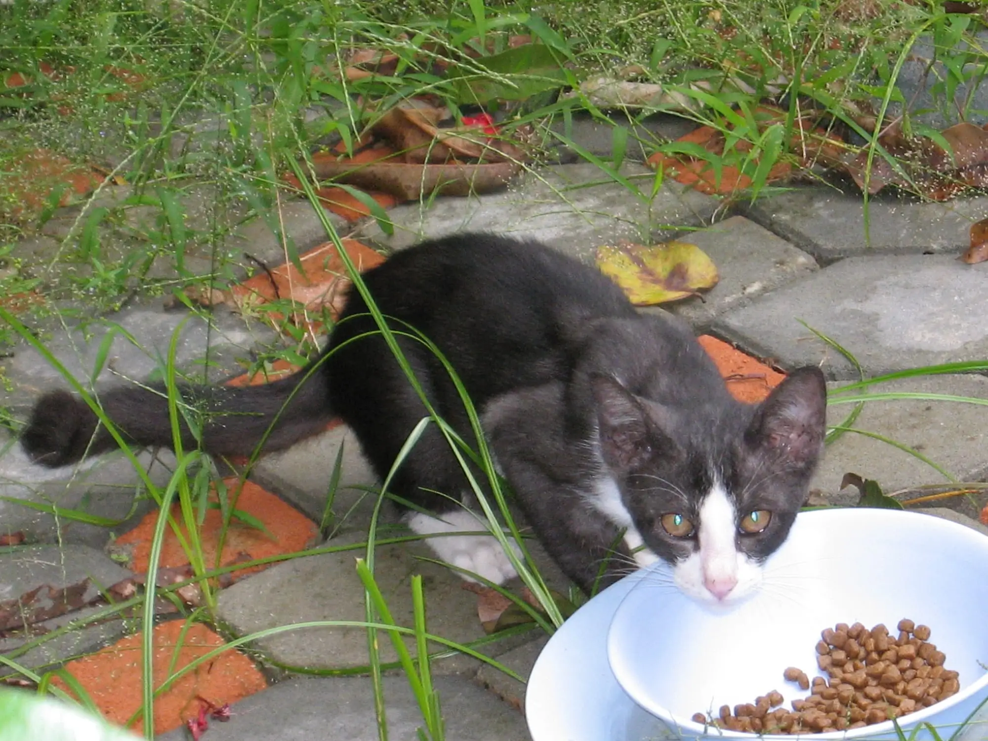Yim eating in the garden