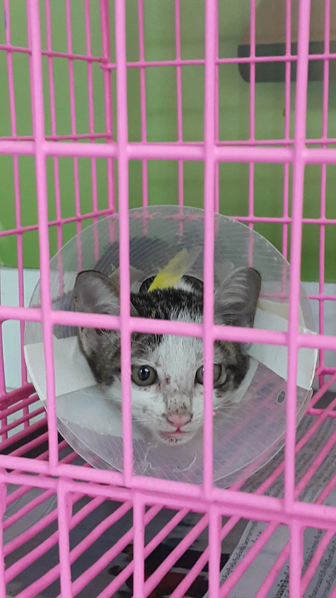 Snow at the clinic with a cone