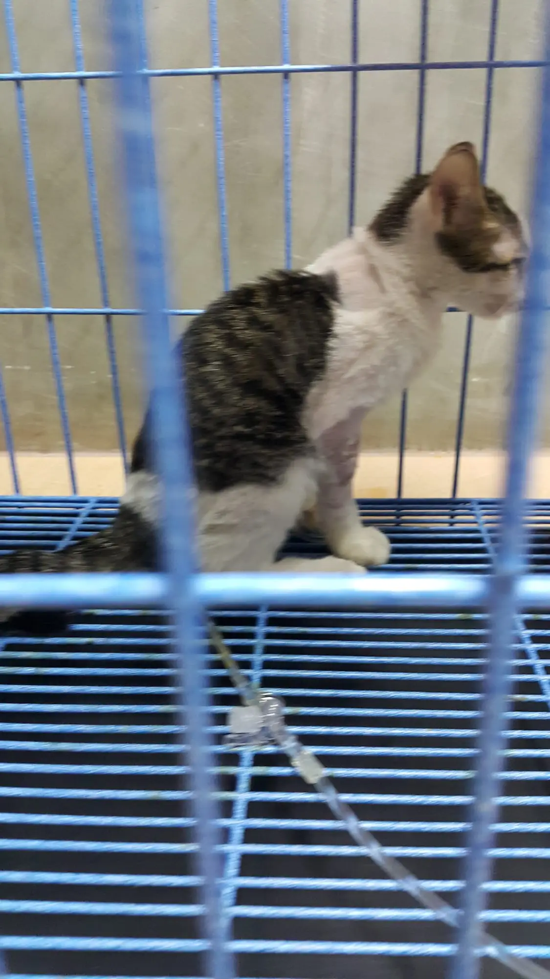 Snow during his two-month stay