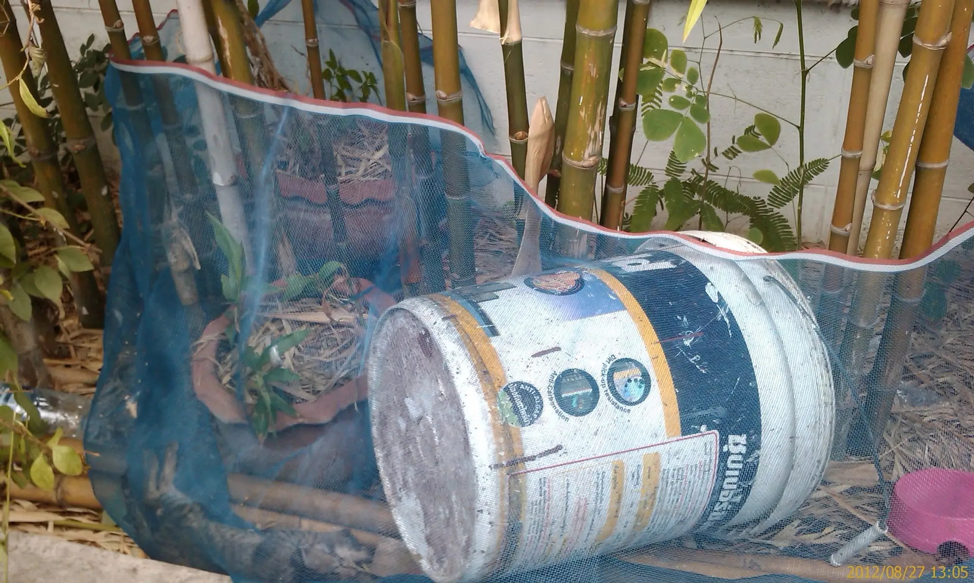 The homemade cage of trash and netting someone had built for him